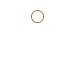 Criminal Defense Icon