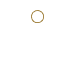 Criminal Defense Icon